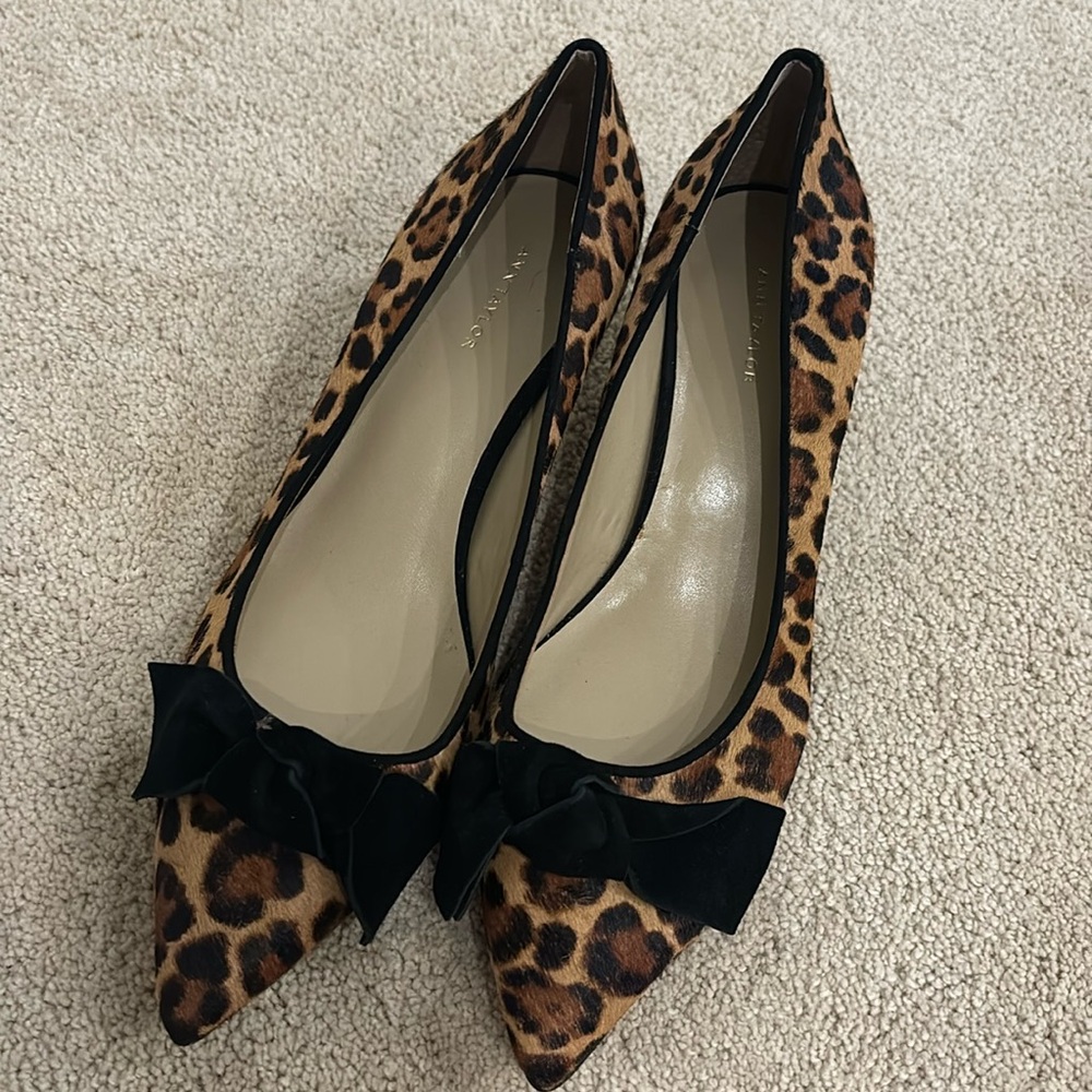 Ann Taylor leopard print heels.